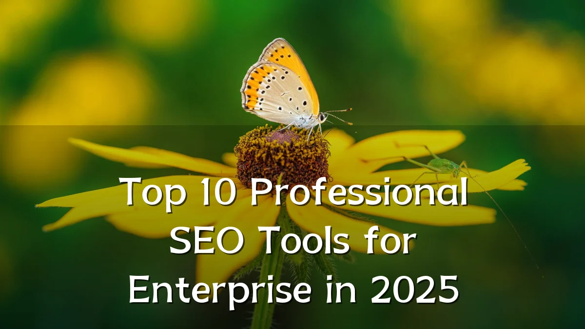 Top 10 Professional SEO Tools for Enterprise in 2025